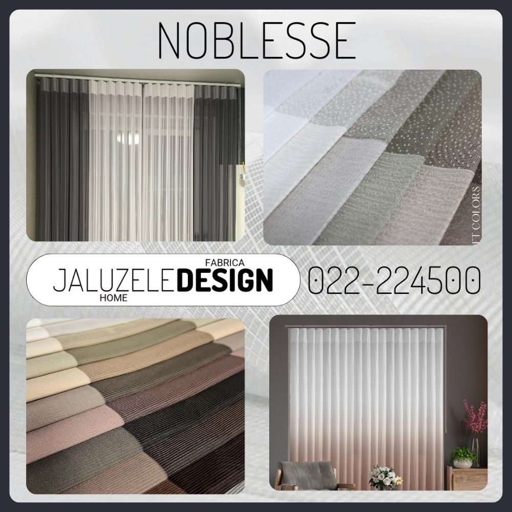NOBLESSE lucrare 6